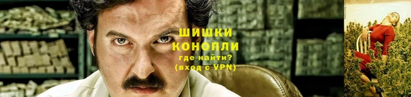 гидропоника Дмитриев