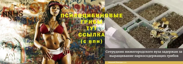 спайс Богданович